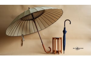 Umbrella 101: History, Types, and Choosing the Best