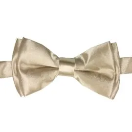 Shining Golden Kids Bowtie