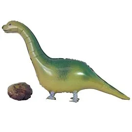 dinosaur and egg balloon walking air pet design