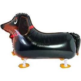 black dachsund puppy foil balloon with walking pet design