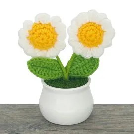 crochet 2 headed daisy flowers in pot