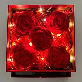 5 red crochet roses in light up square box