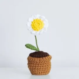 White Crochet Daisy in Crochet Flower Pot, hand knitted flowers