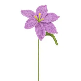 
Purple Crochet Lily flowers wholesale options
