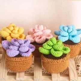 Crochet Succulents in Crochet Flower Pot - Colorful Mix