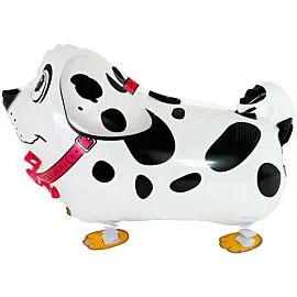 dalmatian dog walking pet balloon