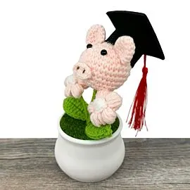 Pig with Graduation Hat Design Crochet Flower in Pot