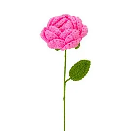 hot pink crochet rose