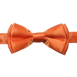 Shining Orange Kids Bow Tie display image