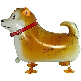 shepherd dog walking animal balloon