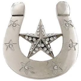 Silver Horseshoe & Star Buckle