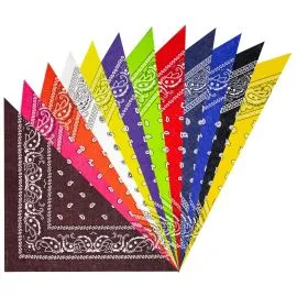 Paisley Print Multicolor Bandana Set