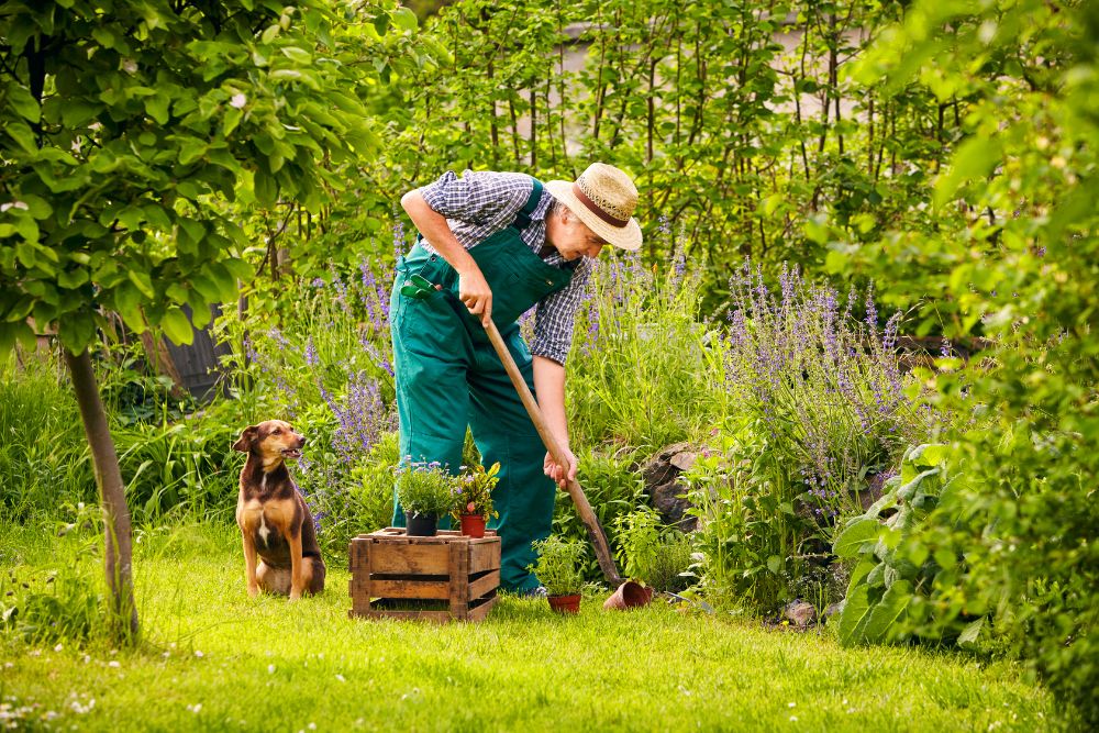 an old man gardening his backyard with his dog