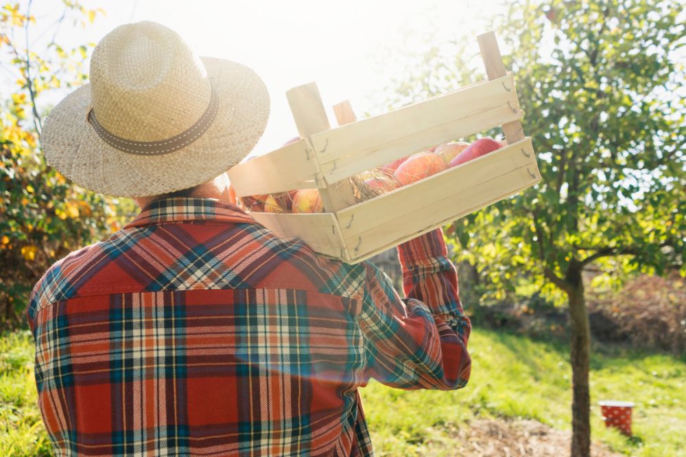 a man wearing a straw summer hat and working on the farmfield